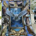 owl night quilt tdhmg d2389387