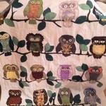 owl quilt tdhbs d2388480