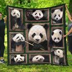 panda k9 beautiful bcg25 3d customized quilt d2312892