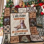 pitbull morning the empress 3d customized quilt d2314687