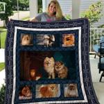 pomeranian qui41001 3d personalized customized quilt blanket 30 d2319845