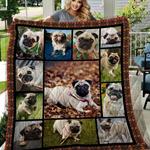 pug quilt tdhgp d2388641
