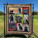pug td2809753 quilt blanket d2357159