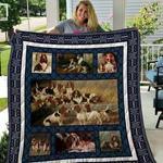 quilt qui15002 basset hound d2381495