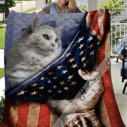 Ragdoll Cat Ta 03012019 Awesome LKI108 3D Customized Quilt