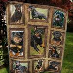 rottweiler hn quilt tdhoe d2389294