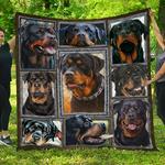 rottweiler quilt blanket dhc13122930vt d2379686
