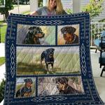 rottweiler quilt tdhae d2389380