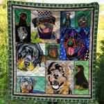 rottweiler take me to park ctv040796 3d customized quilt d2312514
