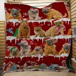 shar pei snow christmas quilt tdhla d2388783