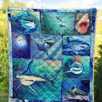 shark hur quilt cysifg d2390146