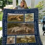 sheep cla1212582q quilt blanket d2355580
