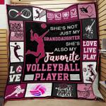 shes not just granddaughter shes also my favorite volleyball player quilt blanket great customized