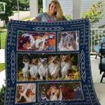 shetland sheepdog then you look at me quilt blanket dhc020120583td d2358247