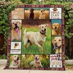 shih tzu shih tzu baby u quilt nc d2390164