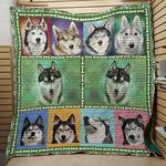 st husky quilt d2386465
