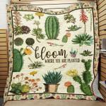 succulent jfj13176 3d customized quilt 2707 d2315054
