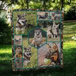 swedish vallhund ball cl10100241mdq quilt blanket d2381312