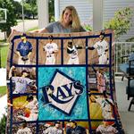 tampa bay quilt d2385430