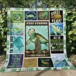 turtle bt230727b quilt blanket d2318140