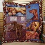 vizsla dog quilt blanket d2351686