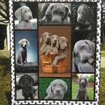 weimaraner cute weimaraner quilt vsc d2387878