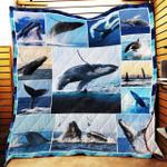whale collection quilt q0803 d2384664
