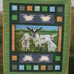 white goat family clt180669 quilt blanket d2357383