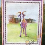 who eat my whole grass goat blanket th0207 quilt d2317664