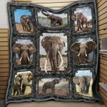 wolf oio u quilt lg d2389756