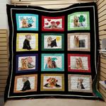 yorkie 19022299 quilt blanket quilt d2322070
