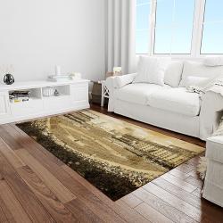 mlb baltimore orioles baseball team logo sport carpet rectangle area rug for living room light room bor09