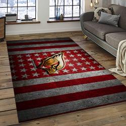 NFL Arizona Cardinals Football Team Logo Sport Carpet Rectangle Area Rug For Living Room AC74