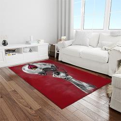 nfl arizona cardinals football team logo sport carpet rectangle area rug for living room light room ac32