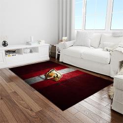 nfl arizona cardinals football team logo sport carpet rectangle area rug for living room light room ac75
