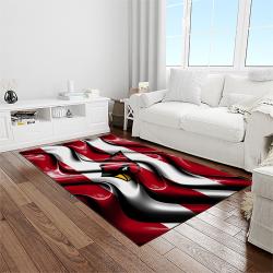 nfl arizona cardinals football team logo sport carpet rectangle area rug for living room light room ac77