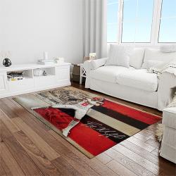 nfl cleveland browns football team logo sport carpet rectangle area rug for living room light room cb32