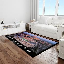 nfl cleveland browns football team logo sport carpet rectangle area rug for living room light room cb48