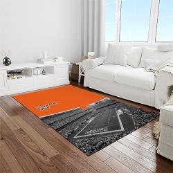 nfl cleveland browns football team logo sport carpet rectangle area rug for living room light room cb51