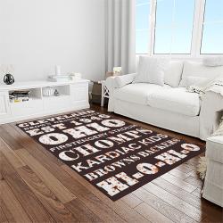 nfl cleveland browns football team logo sport carpet rectangle area rug for living room light room cb52