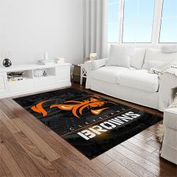 nfl cleveland browns football team logo sport carpet rectangle area rug for living room light room cb71