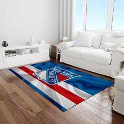 nhl new york rangers hockey team logo sport carpet rectangle area rug for living room light room nyr64