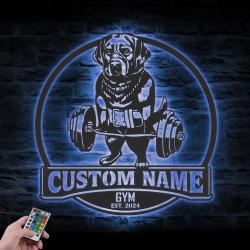 custom lab fitness metal wall sign led light