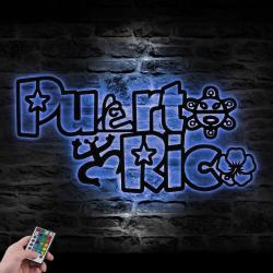 frog coqui puerto rico taino symbol custom metal wall art led light 3