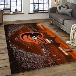 MLB Baltimore Orioles Baseball Team Logo Sport Carpet Rectangle Area Rug For Living Room Home Room Decor BTMO42