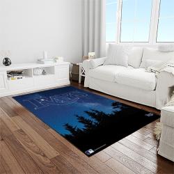 mlb tampa bay rays baseball team logo sport carpet rectangle area rug for living room home room decor light room tabr15