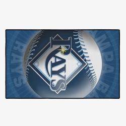 mlb tampa bay rays baseball team logo sport carpet rectangle area rug home decor tpbr1