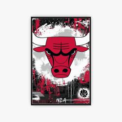 nba chicago bulls basketball team logo sport canvas home decor ccbs1001
