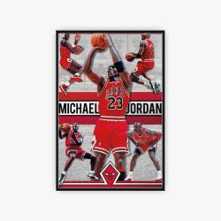 nba chicago bulls basketball team logo sport canvas home decor ccbs4001