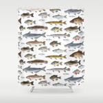 a few freshwater fish shower curtain 0
